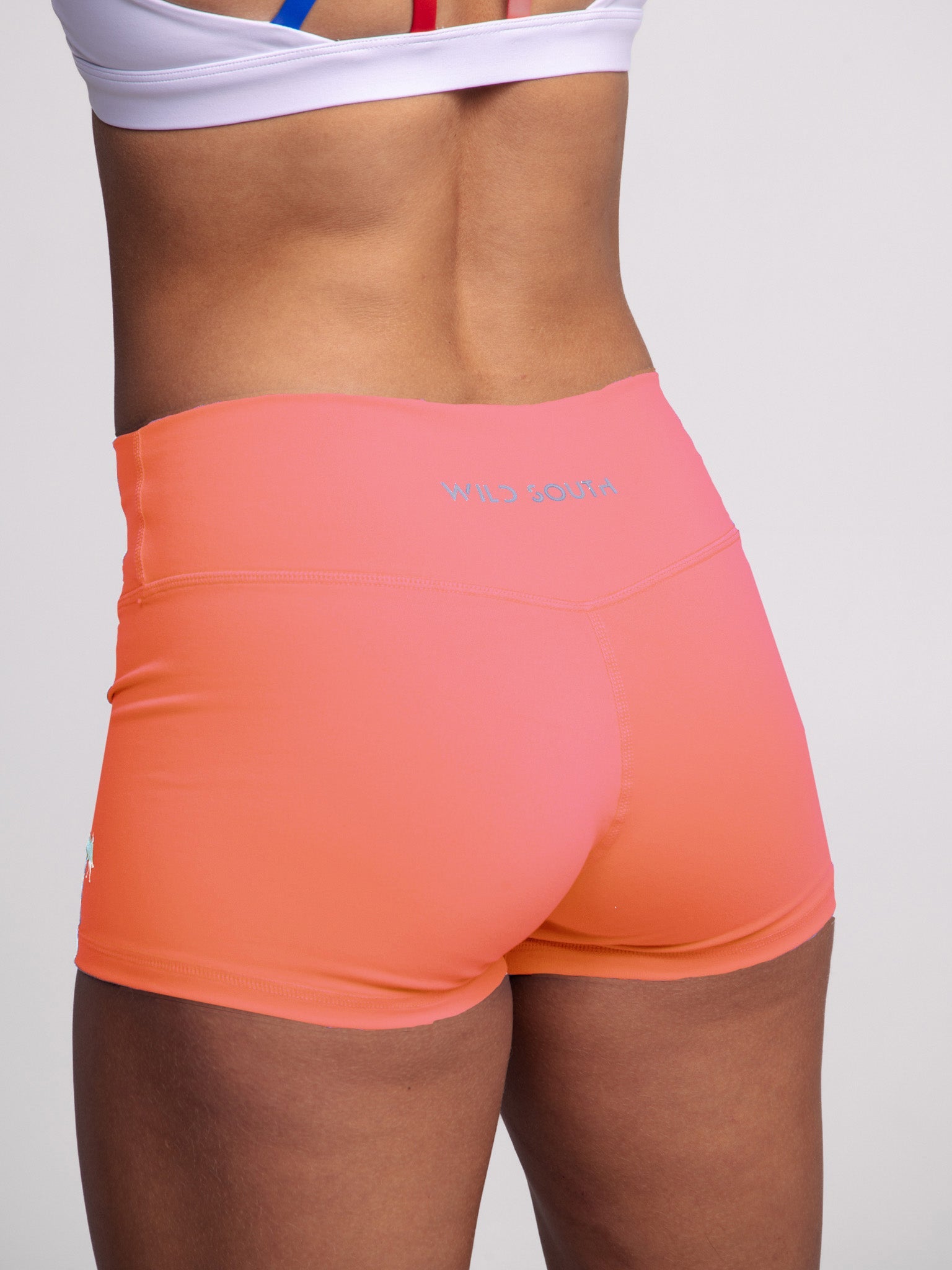Elite Short 2.5"
